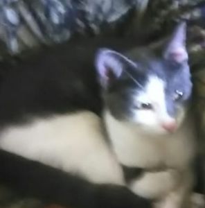 Meet your Posher, Jd